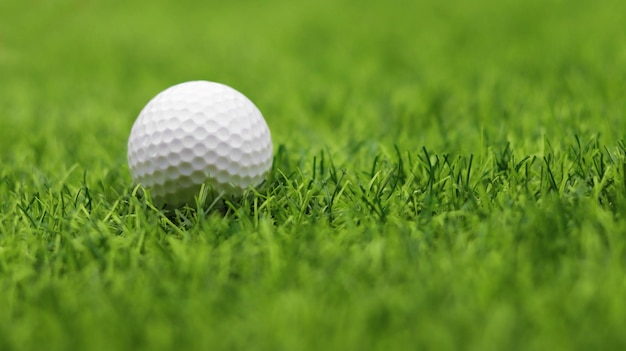 Pelota de golf de cerca en la hierba de tee en un hermoso paisaje borroso de fondo de golf Concepto de deporte internacional que se basa en habilidades de precisión para la relajación de la salud