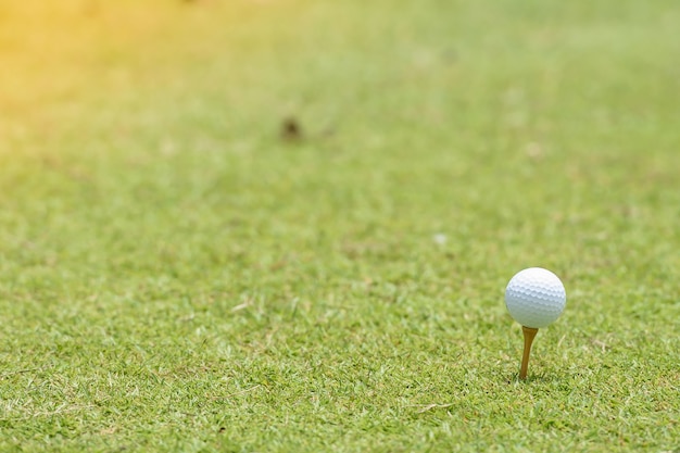 Pelota de golf colocada en el césped.