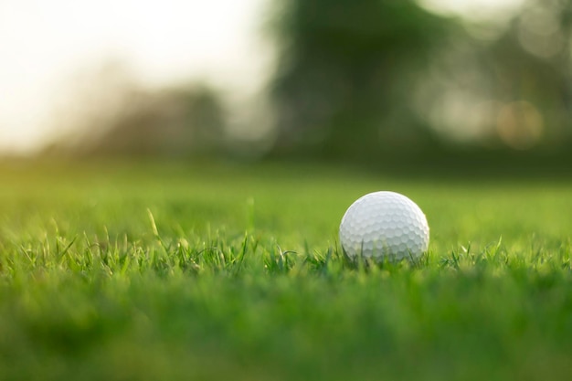 La pelota de golf está en un césped verde en un hermoso campo de golf