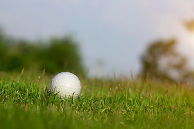 La pelota de golf está en un césped verde en un hermoso campo de golf