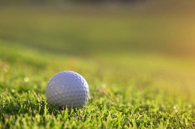 La pelota de golf está en un césped verde en un hermoso campo de golf