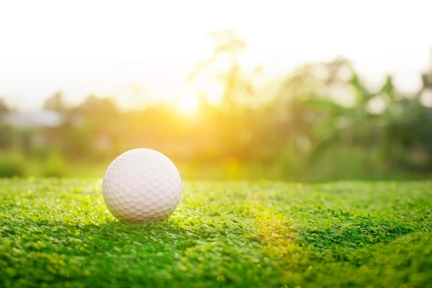 La pelota de golf está en un césped verde en un hermoso campo de golf