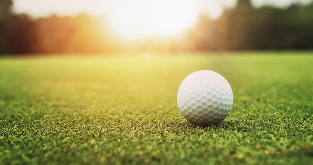 Pelota de golf en el fondo del atardecer de hierba verde