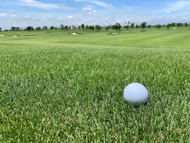 Foto pelota de golf en el green de cerca