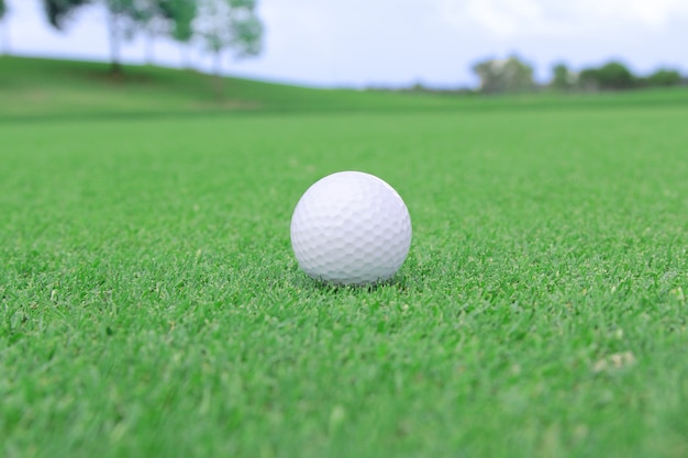 pelota de golf en un green