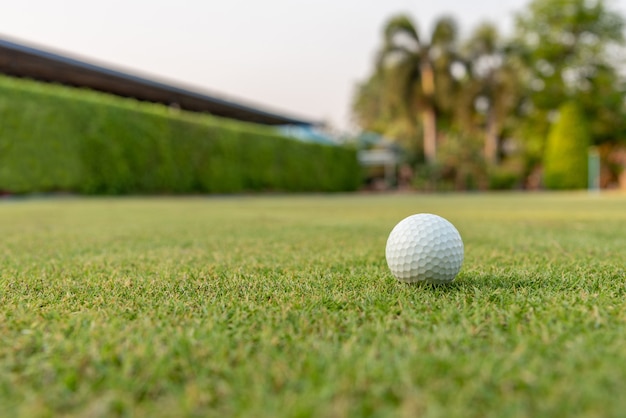 Pelota de golf en un hermoso césped verde El golf es un deporte que se debe jugar en el césped.