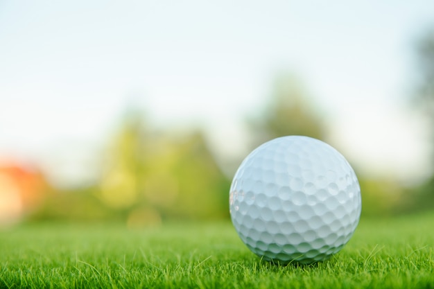 Pelota de golf en la hierba verde lista para jugar en el campo de golf.