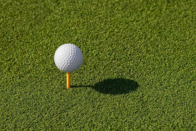 Pelota de golf en la hierba verde