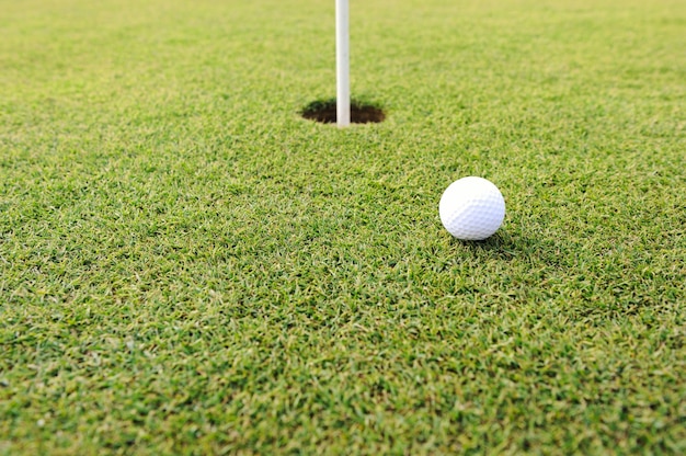 Pelota de golf en el hoyo en el campo de hierba