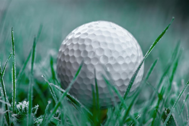 Pelota de golf en invierno