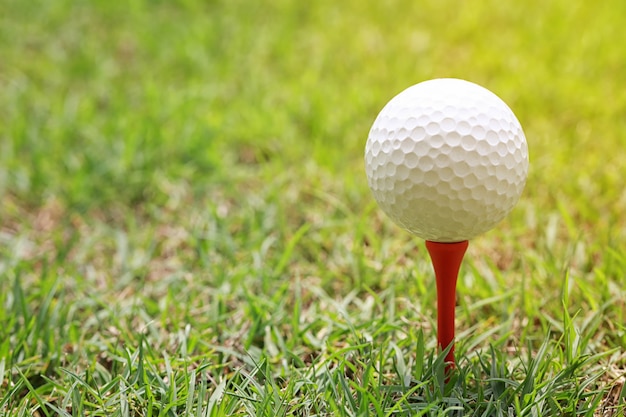 Pelota de golf en te de golf de madera.