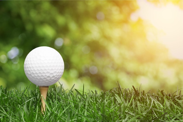 pelota de golf con un tee de golf en un césped