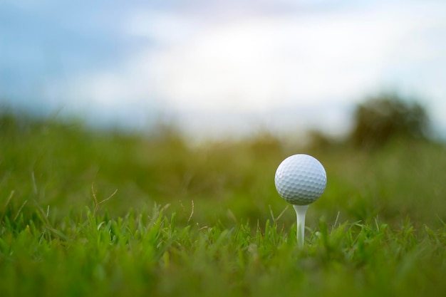 Pelota de golf en tee en un hermoso campo de golf con sol matutino