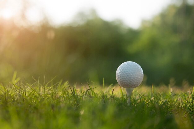 Pelota de golf en tee en un hermoso campo de golf con sol matutino