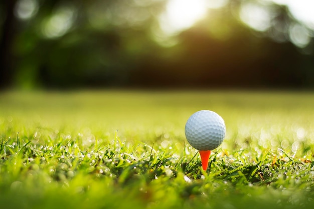 Pelota de golf en tee en un hermoso campo de golf con sol matutino