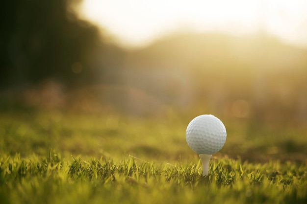 Pelota de golf en tee en un hermoso campo de golf con sol matutino