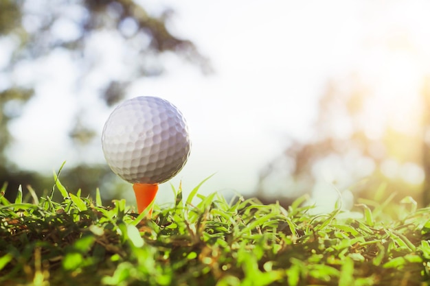 Pelota de golf en tee en un hermoso campo de golf con sol matutino