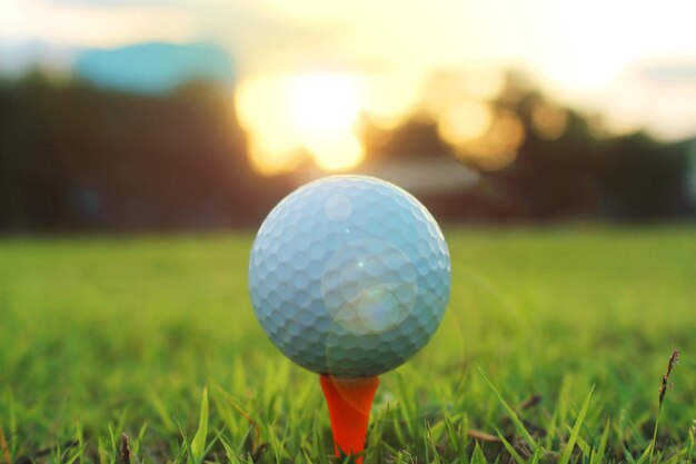 Pelota de golf en tee en un hermoso campo de golf con sol matutino