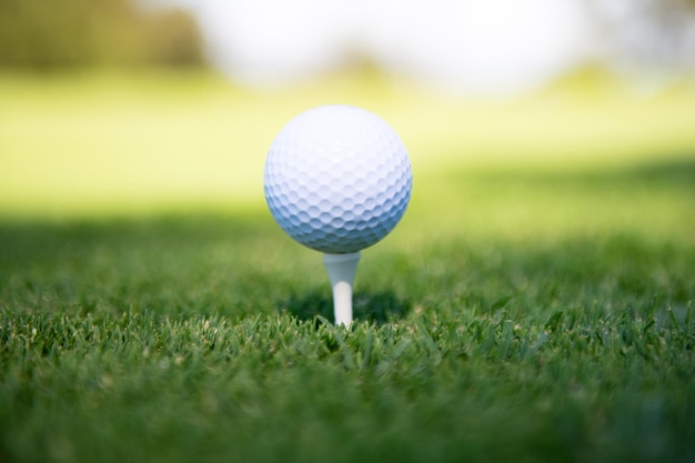 Pelota de golf en tee lista para ser disparada.