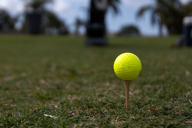 Pelota de golf en el tee Profundidad de campo reducida Centrarse en la pelota