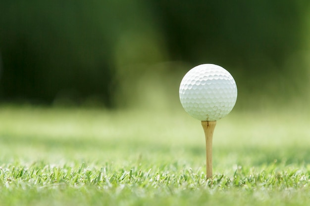 Pelota de golf en un tee