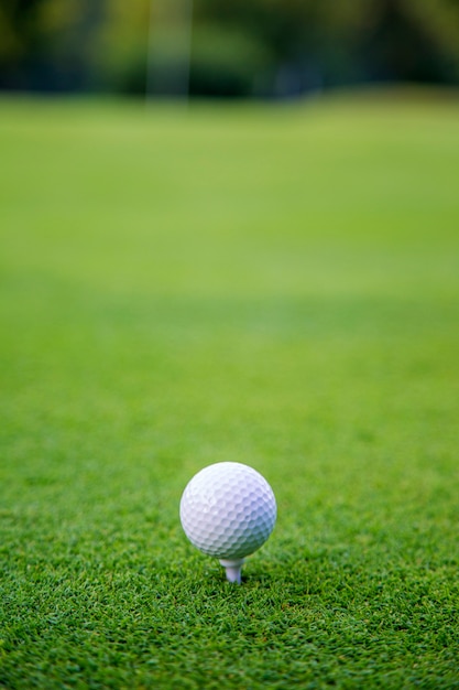 Pelota de golf