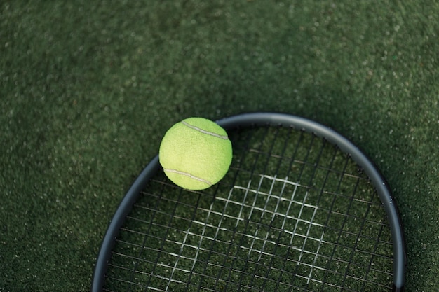 La pelota de tenis en la raqueta negra contra la cancha verde