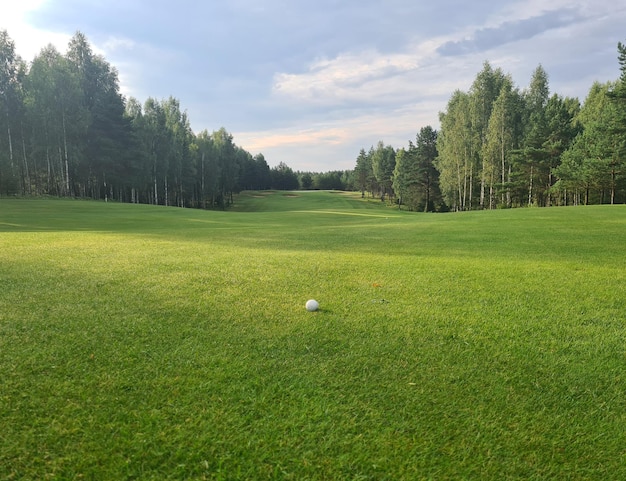 Pelotas de golf en la hierba verde del campo de golf