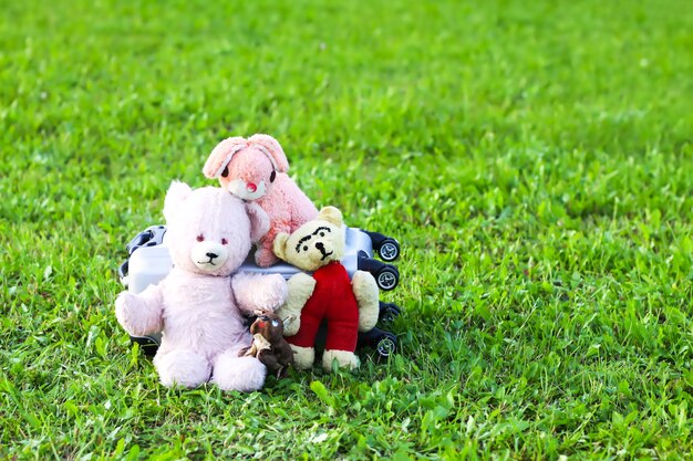 Peluches y bolsa de viaje para donación en la caja de cartón abierta sobre la hierba verde al aire libre en la luz del sol.