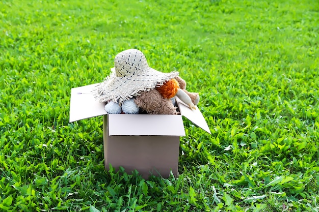 Peluches, muñecos y gorro de verano para donación en la caja de cartón abierta sobre césped verde al aire libre.