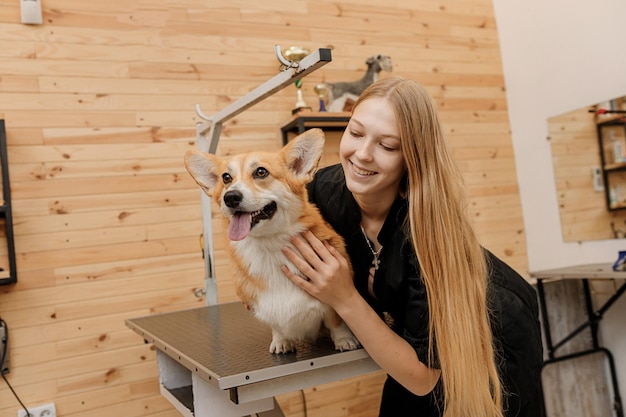 Peluquera profesional con perro Welsh Corgi Pembroke en su lugar de trabajo en el salón de aseo para mascotas