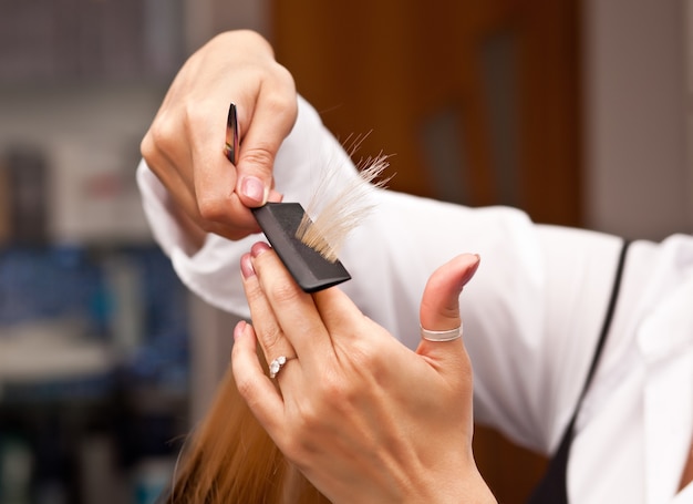 Peluquería profesional cortando el cabello de su cliente.