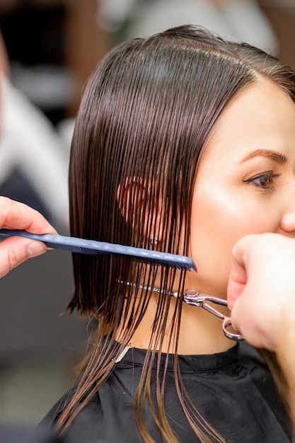 Peluquero corta el cabello mojado de joven mujer caucásica peinando con un peine en una peluquería.
