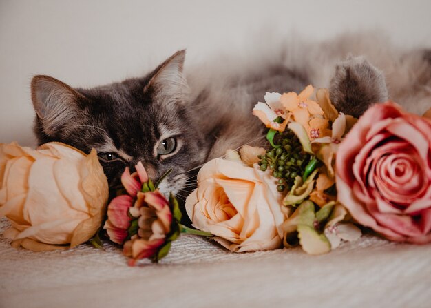 Pelzige Hauskatze mit großen grünen Augen, die hinter Blumen auf einem Bett versteckt sind.