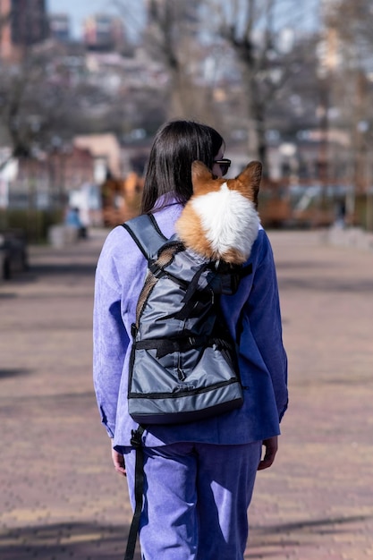 Foto pembroke welsh corgi cachorrinho em uma mochila especial nas costas das meninas vista de trás uma caminhada em um dia ensolarado em um parque da cidade cão feliz pouco cuidado conceito de vida animal