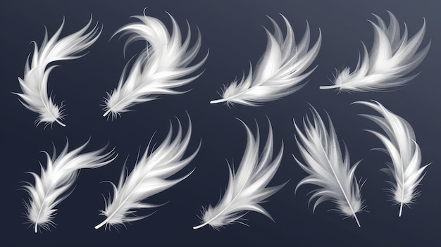 penas de pássaros ou anjos símbolo de suavidade e pureza isoladas em fundo transparente
