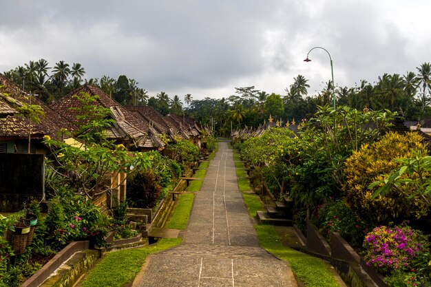 Foto penglipuran, traditionelles balinesisches dorf in der nähe von ubud, auf der insel bali, indonesien