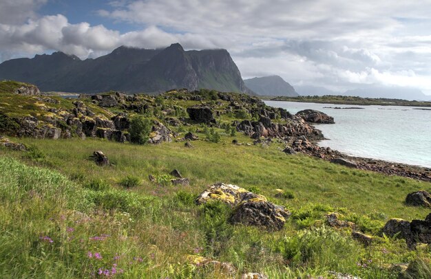 Península de Lofoten Noruega