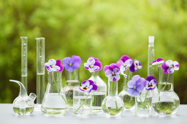 Pensamiento de flores en cristalería química, decoración de mesa en jardín