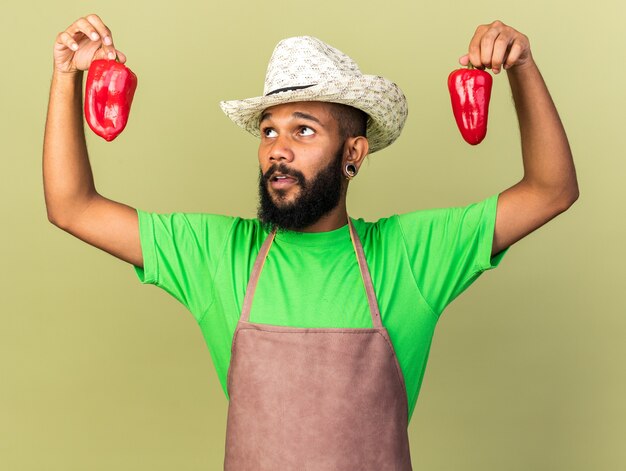 Pensando joven jardinero chico afroamericano con sombrero de jardinería sosteniendo y mirando pimienta aislado en la pared verde oliva