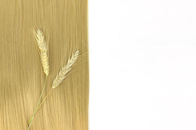 Penteado de trança com raminhos de trigo maduro Cabelos longos loiros próximos Cabelos saudáveis Fundo de luz quente