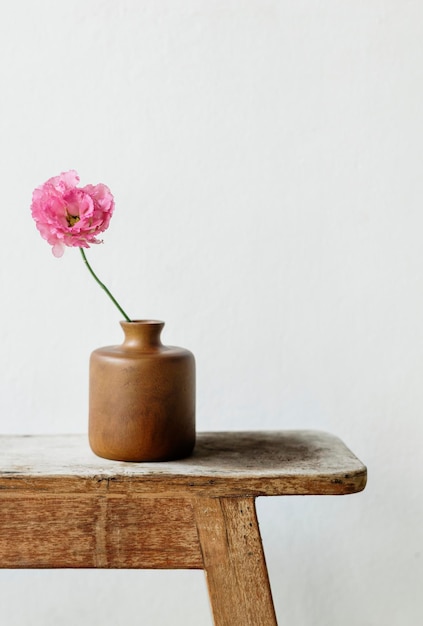 Peônia rosa em um vaso perto da parede