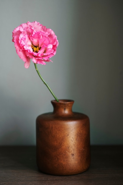 Peonía rosa en un jarrón junto a la pared.