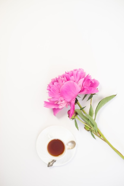 Peonía rosa con una taza de té sobre un fondo blanco.