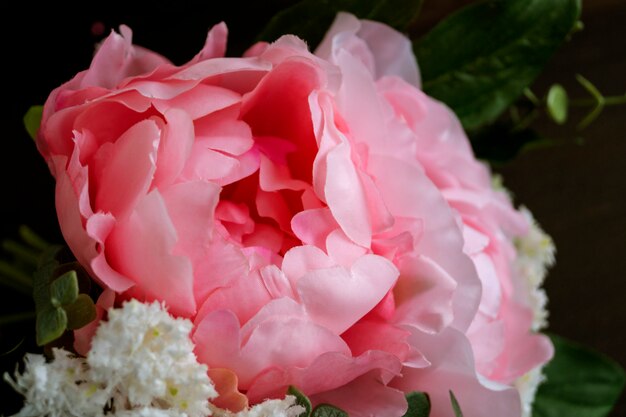 Peonías artificiales rosadas en un fondo negro.