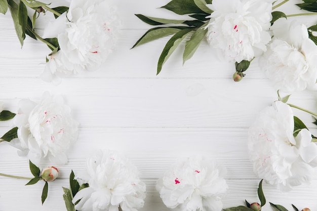 Peonías blancas sobre un fondo blanco de madera copia espacio tarjeta de felicitación plana