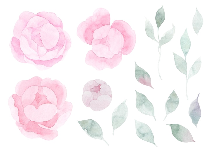 Foto peônias de linha feitas à mão vintage ou conjunto de rosas design botânico froral isolado em flores brancas para saudação convite de casamento aniversário cartão de dia dos namorados ilustração botânica
