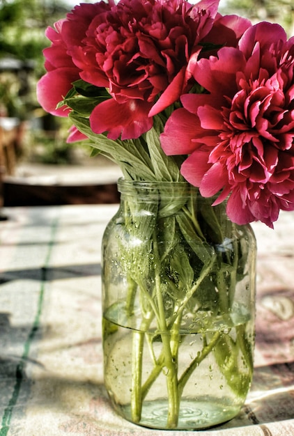 Peonias rojas en una lata