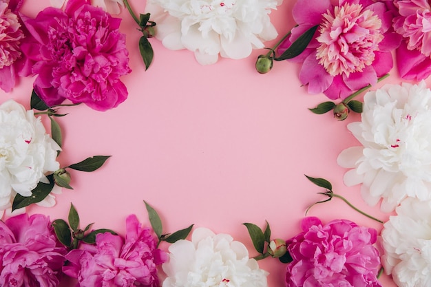 Peonías rosadas y blancas sobre un fondo rosa pastel copia espacio tarjeta de felicitación plana