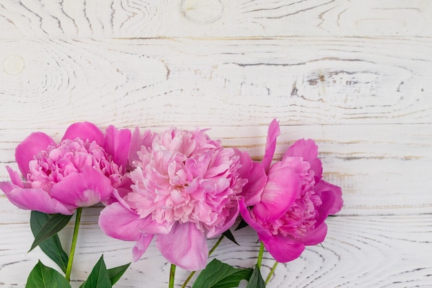 Peonías rosadas sobre un fondo blanco de madera Vista superior espacio de copia